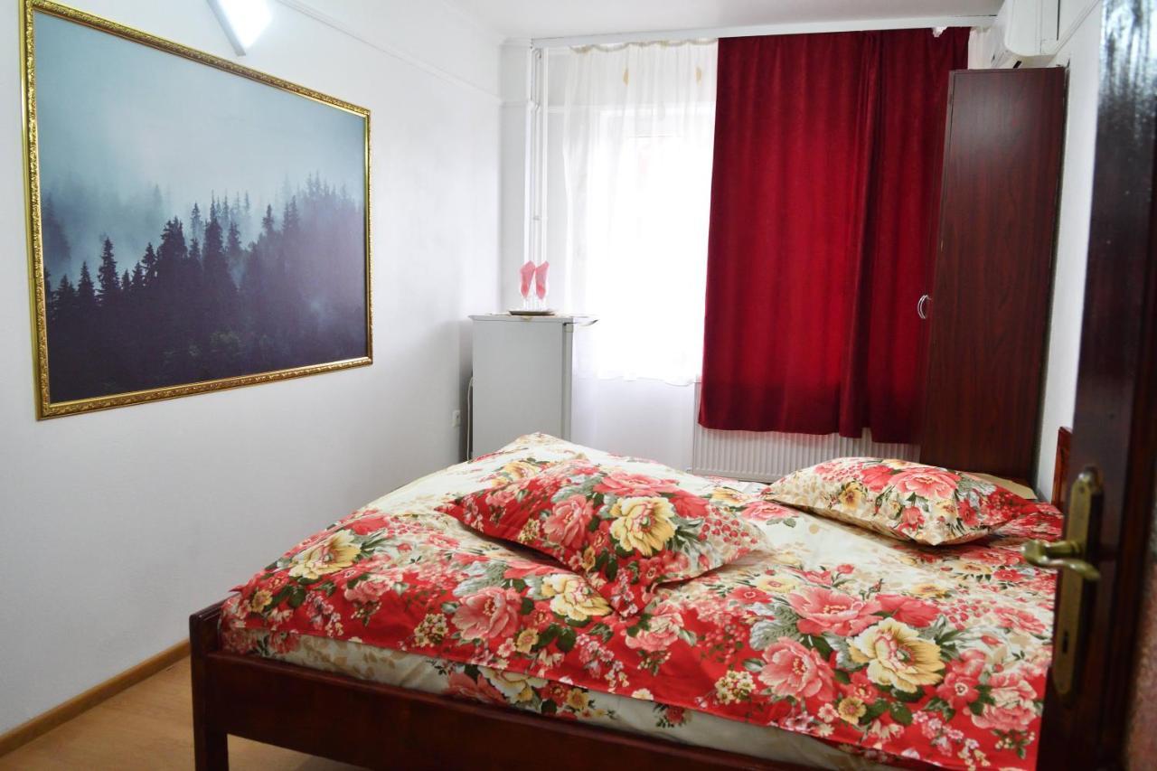 بيت شباب Casa Simescu I Caransebeş المظهر الخارجي الصورة